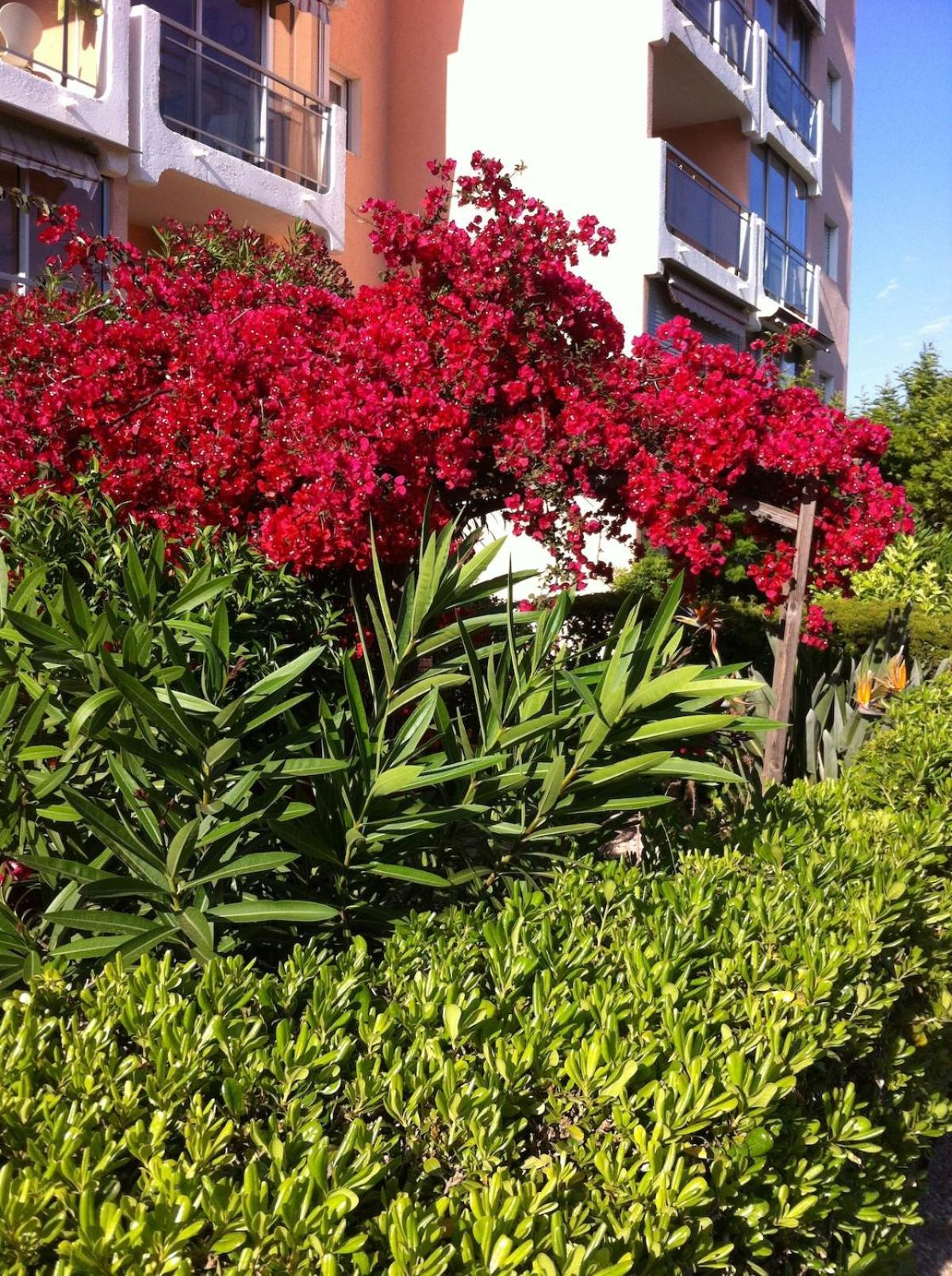 - Avec Terrasse, Vue, Mer, Piscine, Plage, Garage Apartment Cannes